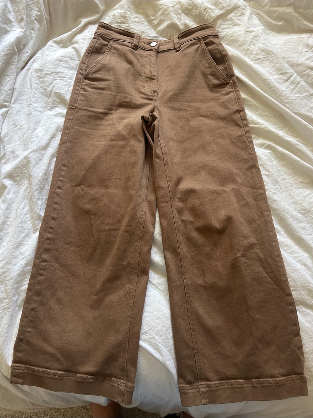 Everlane Wide-Leg Chinos — Chestnut Brown
